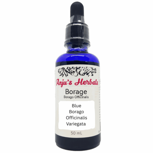 Borage - Artisan, Organic