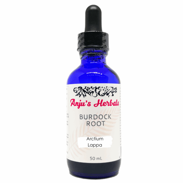 Burdock Root - Artisan, Organic