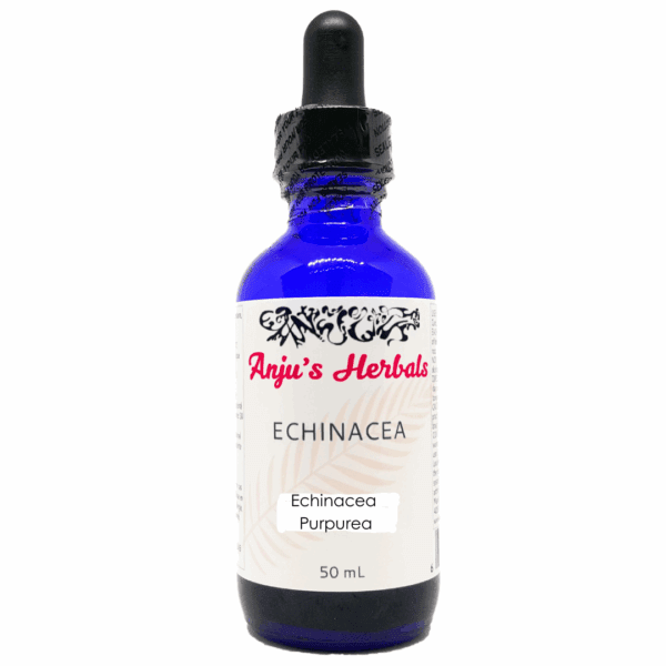 Echinacea P. - Artisan, Organic