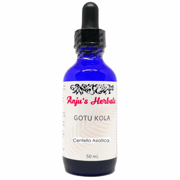Gotu Kola - Artisan, Organic