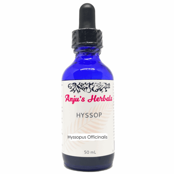 Hyssop - Artisan, Organic