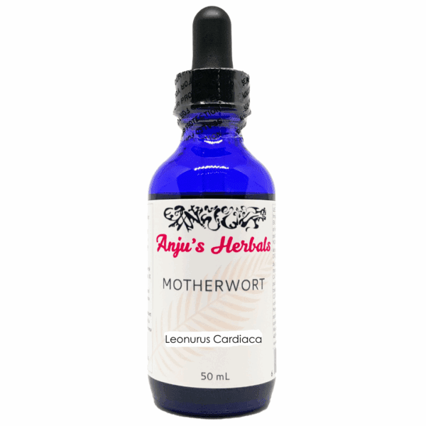 Motherwort - Artisan, Organic
