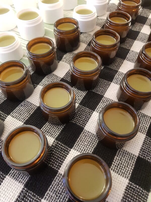 Ayurvedic Skin Care Blend Salve - Organic, Artisan - Image 2